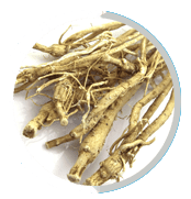 ASTRAGALUS